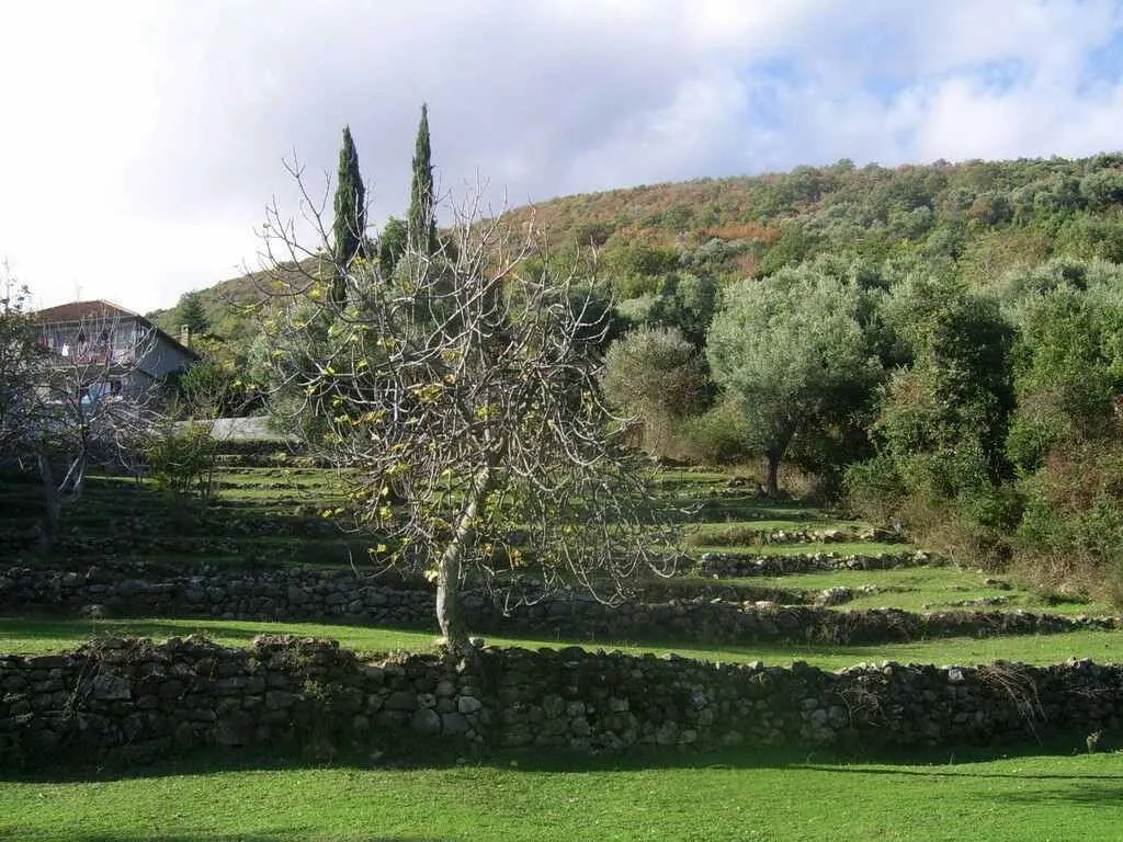 Prodaja, plac, 2000m², Bijela, Herceg Novi