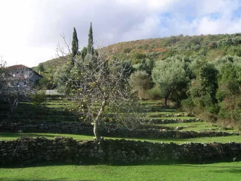 Prodaja, plac, 2000m², Bijela, Herceg Novi - image 2