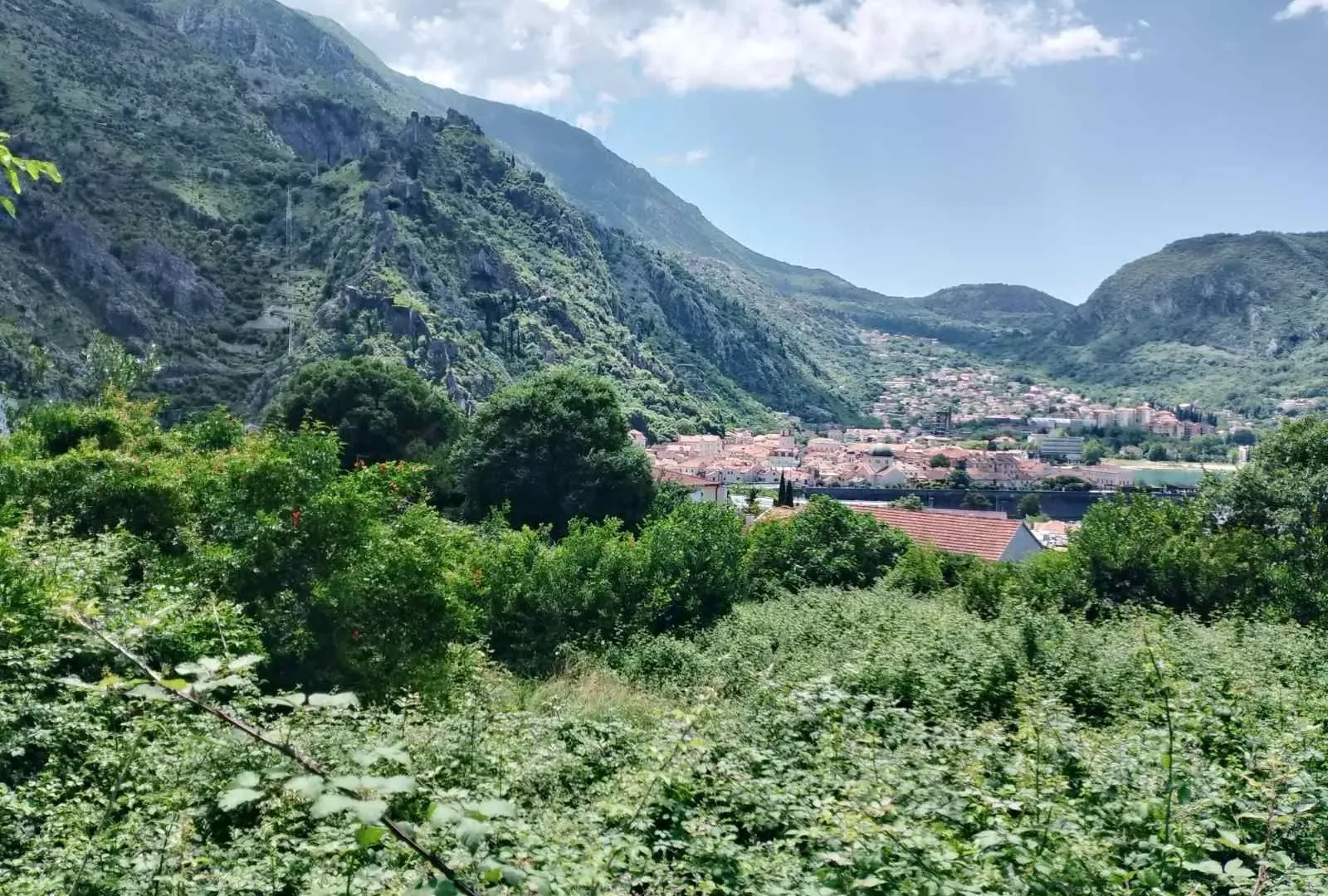 Prodaja, plac, 1748m², Kotor, Crna Gora