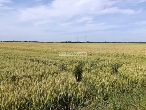 Prodaja, plac, 13059m², Ovča, Palilula Sve Podlokacije - image 4