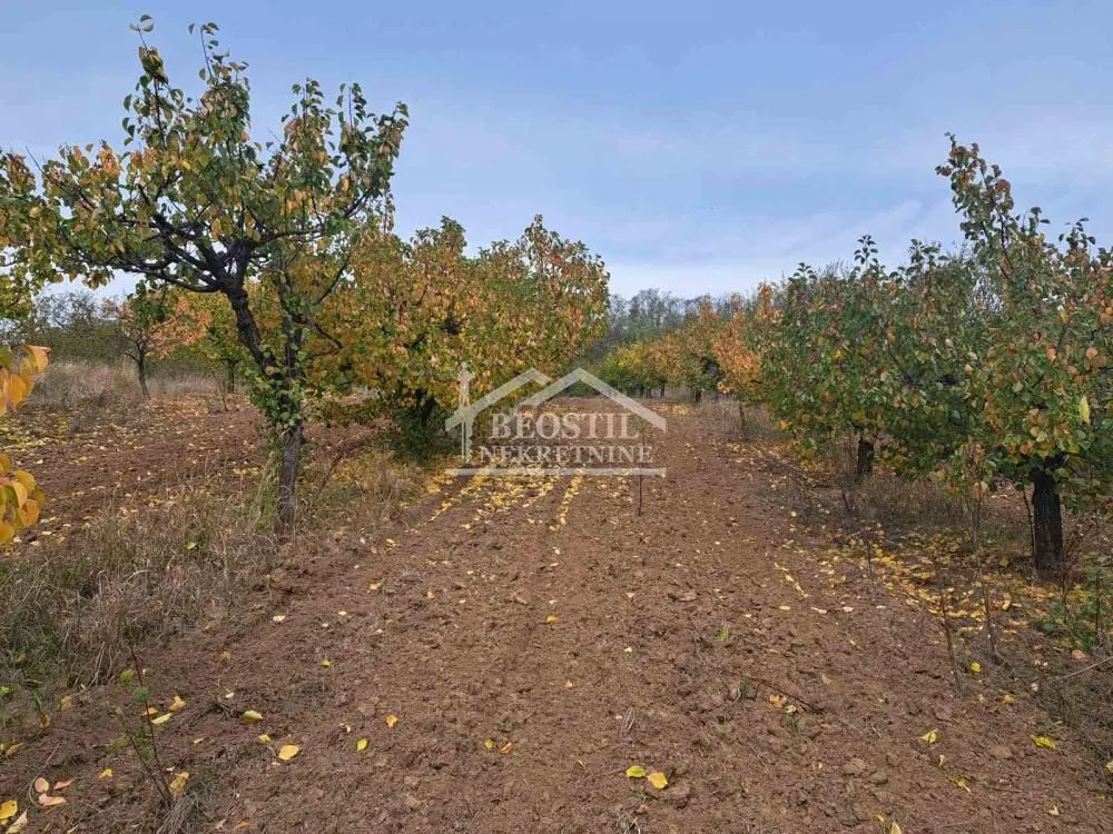 Prodaja, plac, 6900m², Grocka, Beograd
