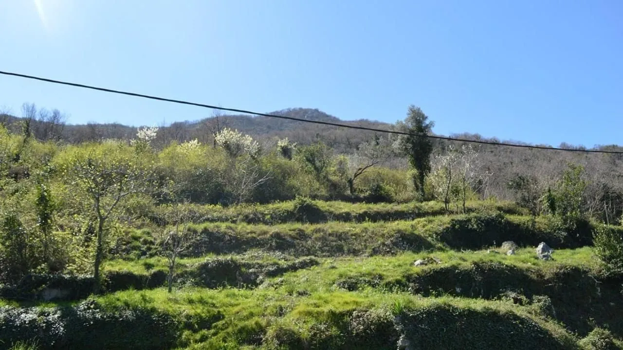 Prodaja, plac, 12433m², Koštanjica, Bar