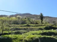 Prodaja, plac, 12433m², Kostanjica, Kotor - image 8