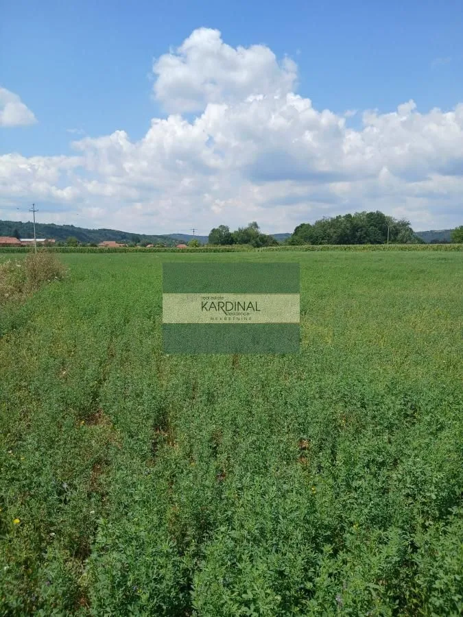 Prodaja, plac, 7500m², Novo Lanište, Jagodina