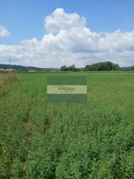 Prodaja, plac, 7500m², Novo Lanište, Jagodina - image 6