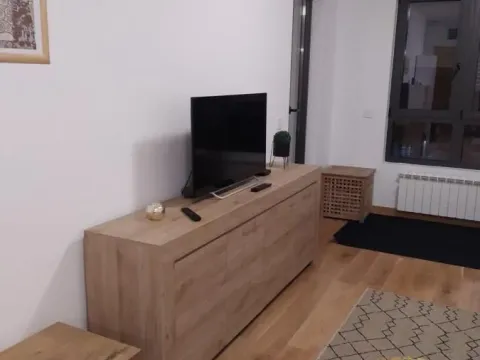 Izdavanje, dvosoban stan, 49m², Voždovac Sve Podlokacije, Beograd - image 4