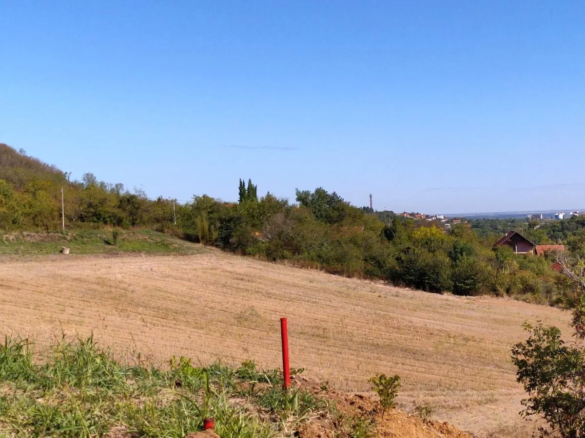 Prodaja, plac, 700m², Sremska Kamenica, Petrovaradin