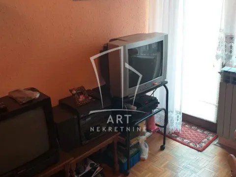 Prodaja, kuća, 275m², Zvezdarska Šuma, Zvezdara Sve Podlokacije - image 4