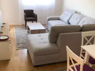 Izdavanje, jednosoban stan, 47m², Central Point, Podgorica - image 3