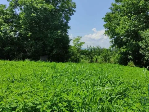 Prodaja, kuća, 75m², Ribare, Jagodina - image 20