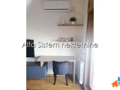 Izdavanje, dvosoban stan, 43m², Vračar Sve Podlokacije, Beograd - image 2