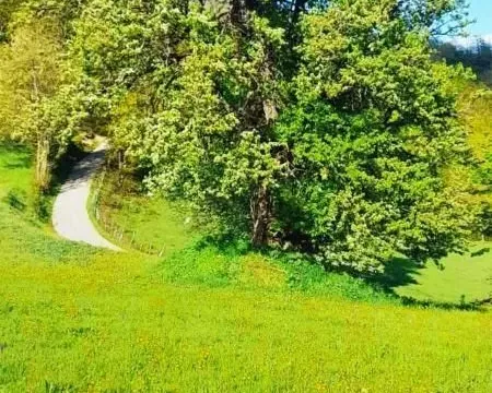 Prodaja, plac, 30905m², Mojkovac, Crna Gora - image 7