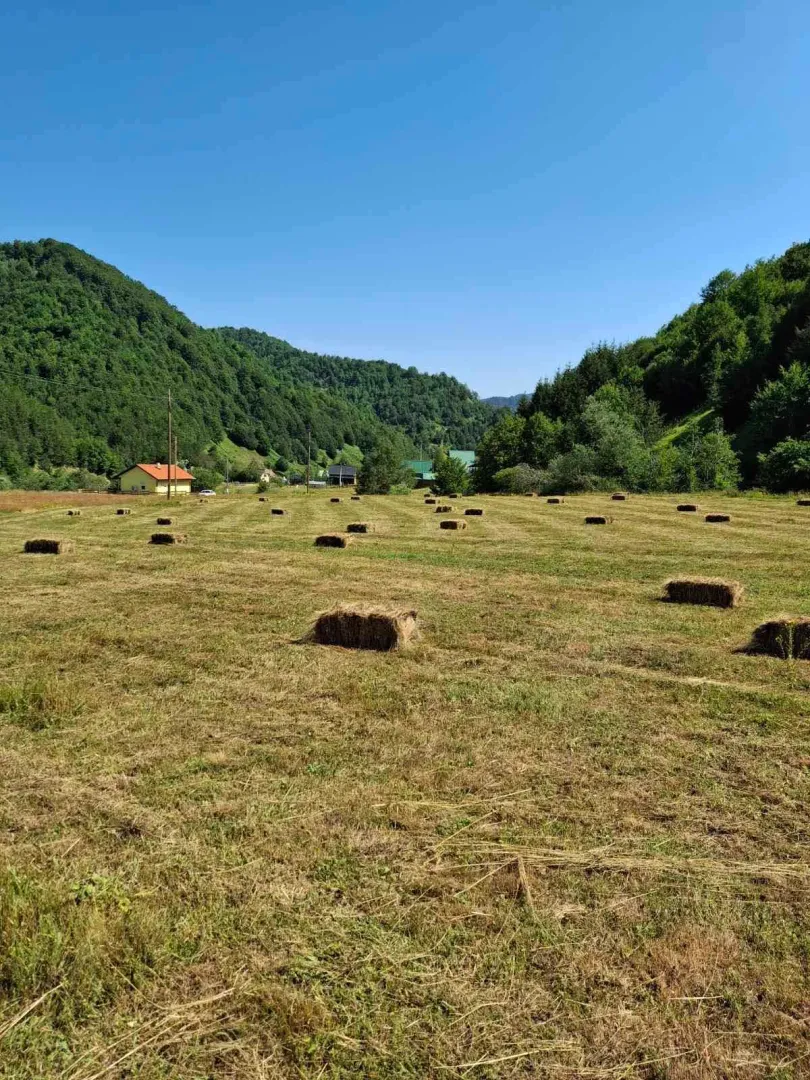 Prodaja, plac, 7000m², Veruša, Podgorica