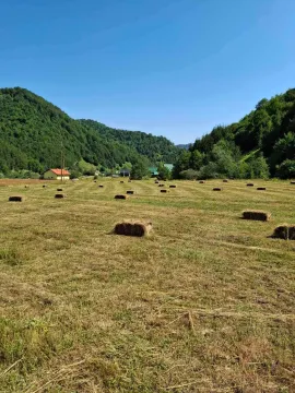 Prodaja, plac, 7000m², Veruša, Podgorica - image 7