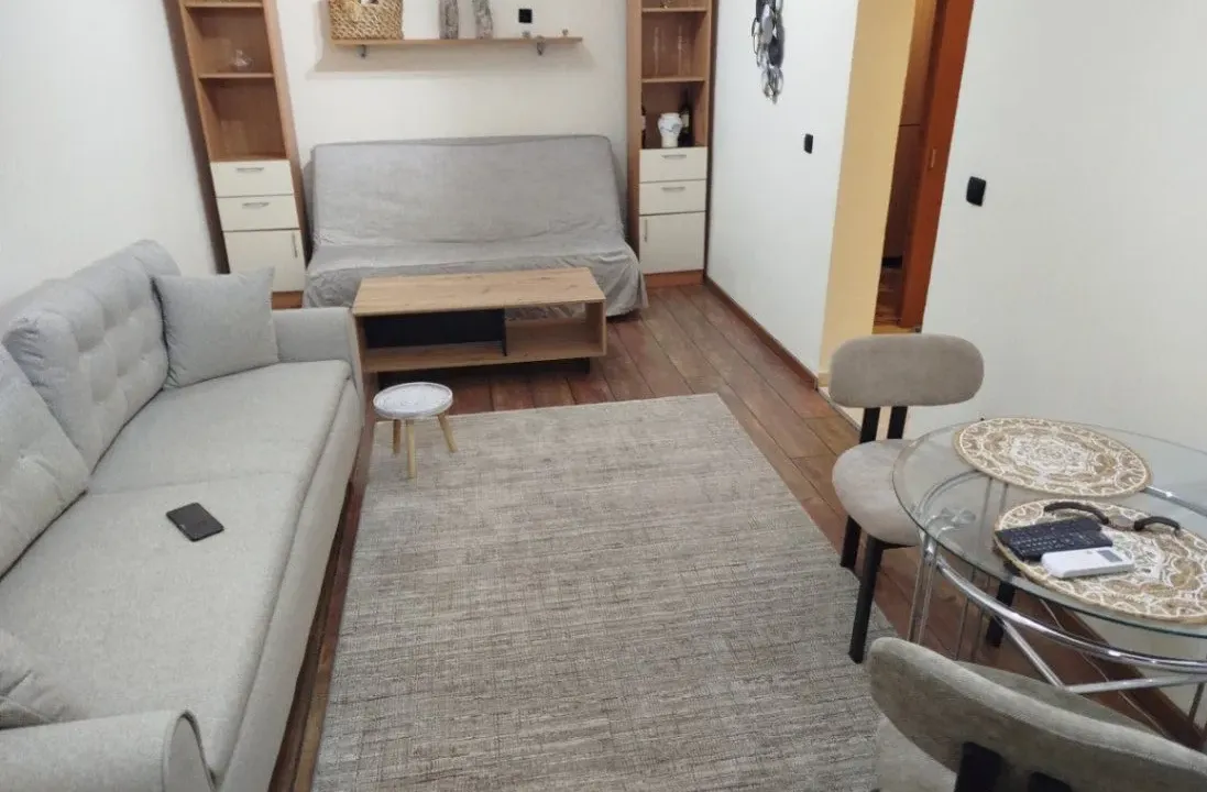 Izdavanje, jednosoban stan, 47m², Velji Vinogradi, Budva