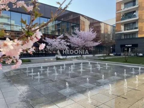 Izdavanje, poslovni prostor, 114m², Novi Beograd Blok 65, Novi Beograd Sve Podlokacije - image 2