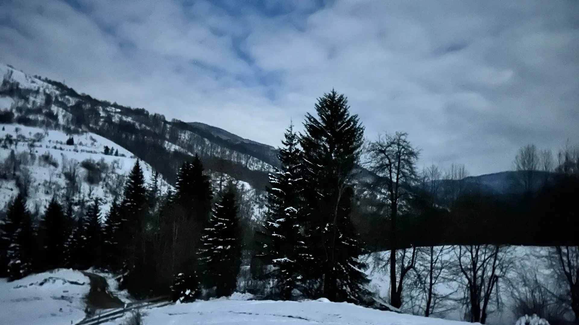 Prodaja, plac, 62000m², Bare, Kolašin