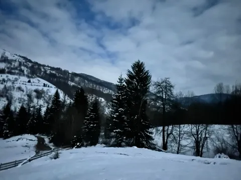 Sale, land lot, 10000m², Bare, Kolašin - image 6