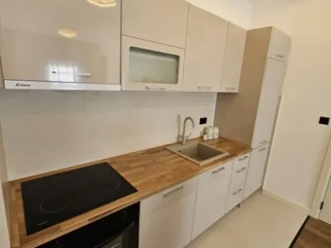 Izdavanje, jednosoban stan, 45m², Centar, Podgorica - image 3