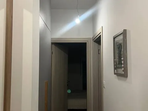 Izdavanje, jednosoban stan, 49m², Stari Aerodrom, Podgorica - image 9