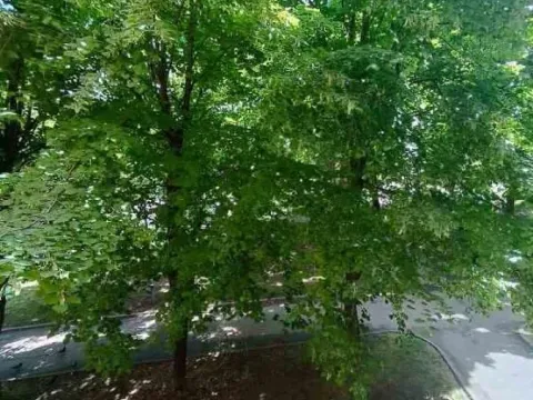 Sale, one bedroom apartment, 53m², Voždovac Sve Podlokacije, Beograd - image 12