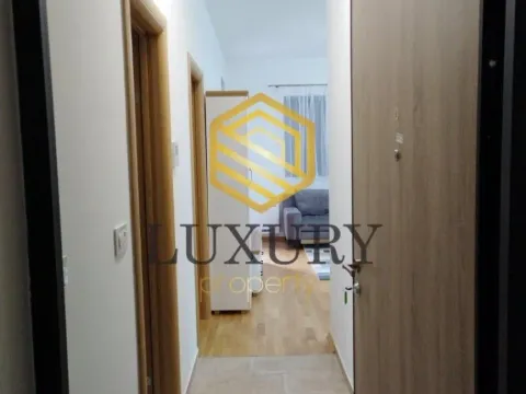 Izdavanje, jednosoban stan, 45m², Centar, Podgorica - image 8