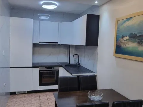 Izdavanje, jednosoban stan, 45m², Preko Morače, Podgorica - image 5