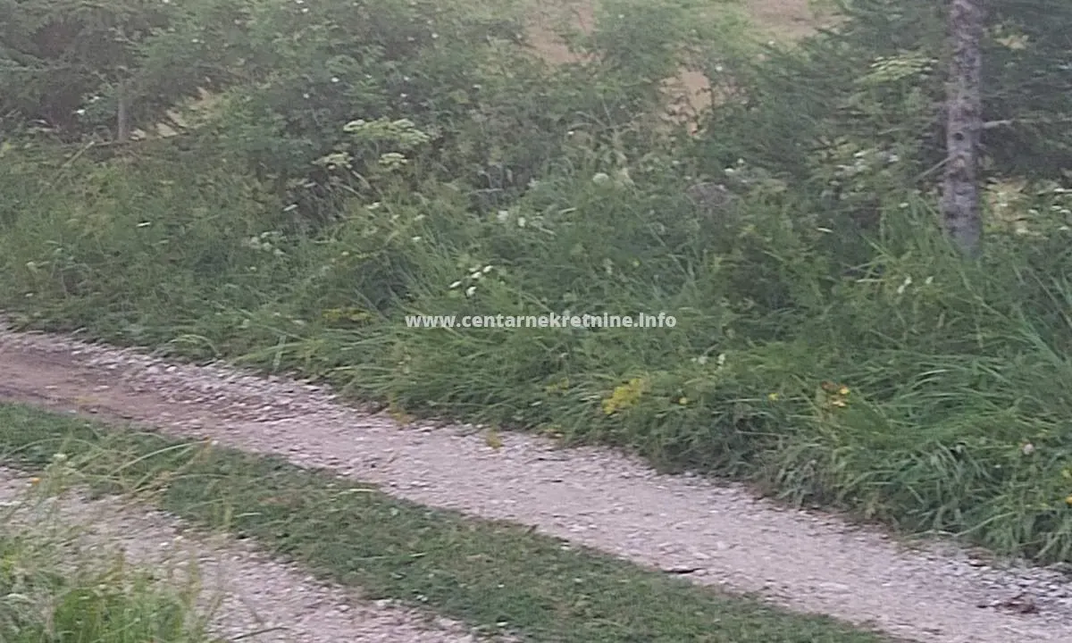 Sale, land lot, 13326m², Palež, Žabljak