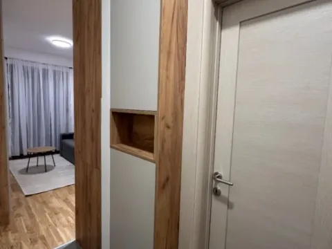 Izdavanje, garsonjera, 26m², Zabjelo, Podgorica - image 7