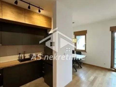 Izdavanje, dvosoban stan, 55m², Južni Bulevar, Vračar Sve Podlokacije - image 5