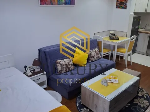 Rent, studio apartment, 30m², Stara Varoš, Podgorica - image 1