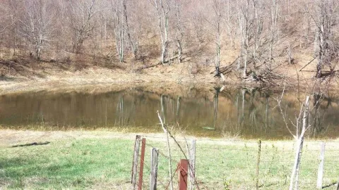 Prodaja, plac, 17300m², Crkvine, Kolašin - image 8