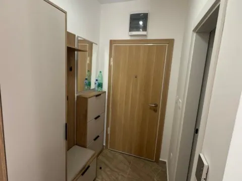 Izdavanje, jednosoban stan, 45m², Ljubović, Podgorica - image 2