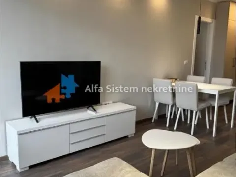 Izdavanje, stan, 40m², Stari Grad, Beograd - image 3