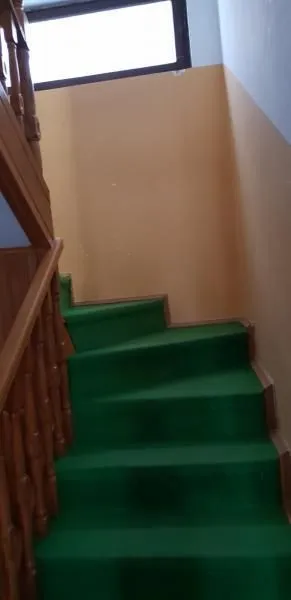 Sale, house, 280m², Telep, Novi Sad Sve Podlokacije