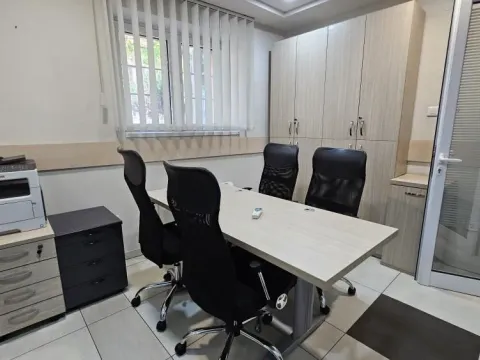 Rent, office space, 318m², Profesorska Kolonija, Palilula Sve Podlokacije - image 13