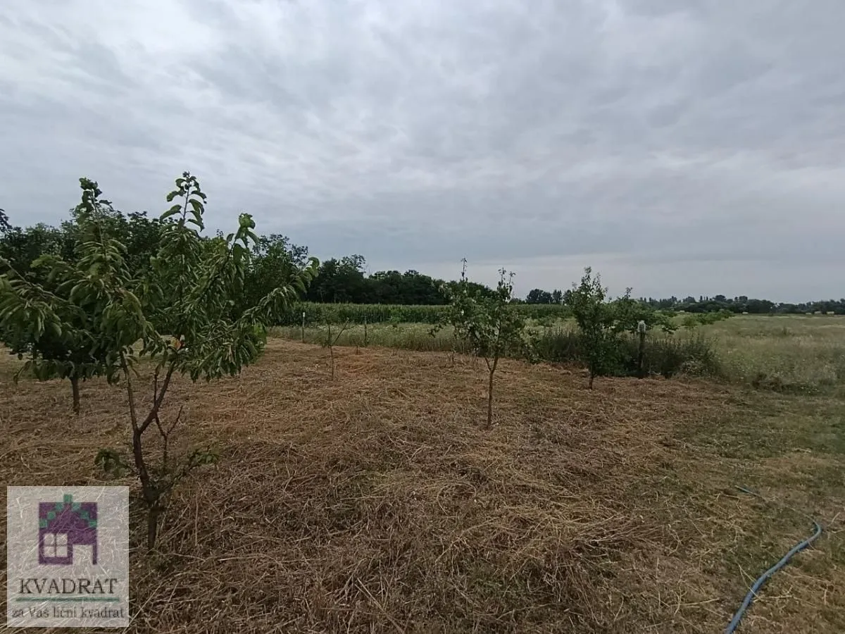 Pogled na prostrano zemljište sa voćnjakom i zelenilom.