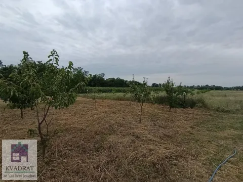 Pogled na prostrano zemljište sa voćnjakom i zelenilom. - image 15