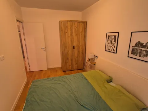 Izdavanje, jednosoban stan, 40m², Central Point, Podgorica - image 3