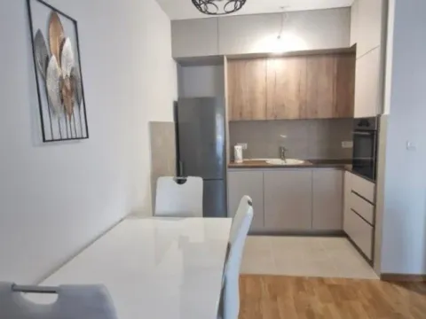 Izdavanje, jednosoban stan, 45m², Zabjelo, Podgorica - image 9