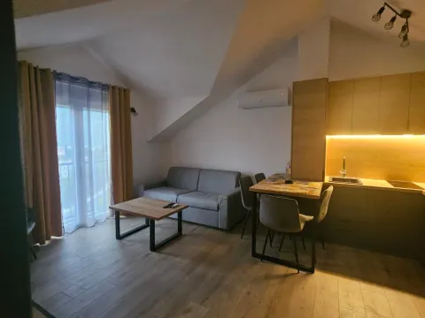 Dnevni boravak sa garniturom, trpezarijom i ugradnom kuhinjom u potkrovlju. - image 5