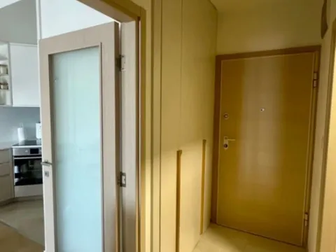 Sale, one bedroom apartment, 47m², Central Point, Podgorica - image 4