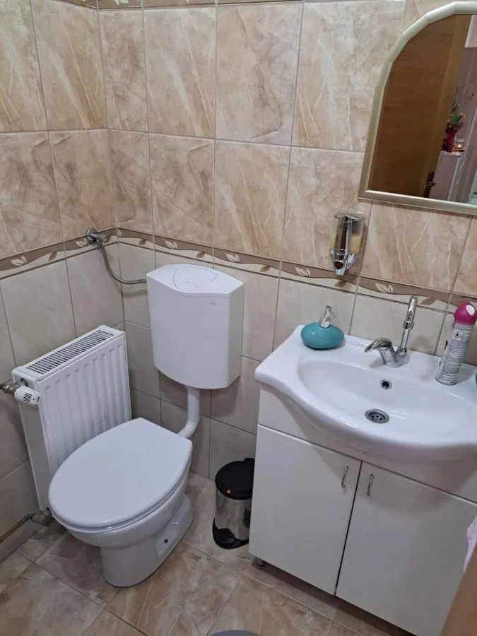 Prodaja, kuća, 289m², Palić, Subotica