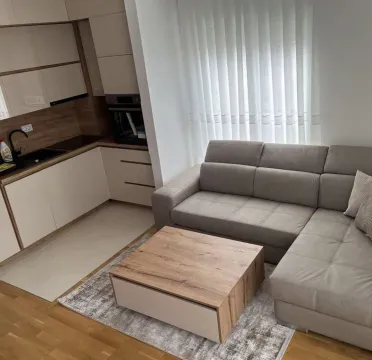Svijetla dnevna soba sa ugaonom garniturom i malom kuhinjom. - image 4