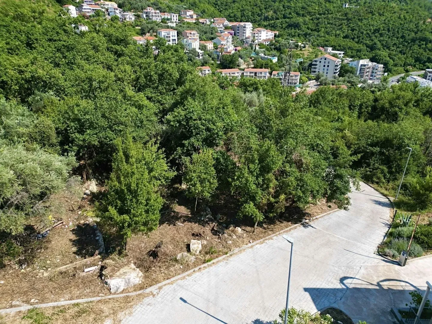 Pogled na zeleni plac sa drvećem i okolno naselje.