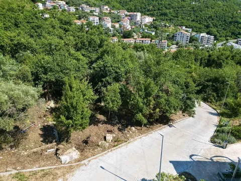 Pogled na zeleni plac sa drvećem i okolno naselje. - image 5