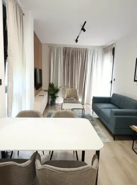 Rent, one bedroom apartment, 43m², Zagorič, Podgorica - image 4