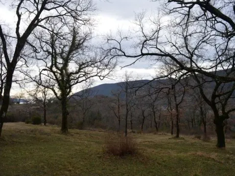 Sale, land lot, 9328m², Mojdež, Herceg Novi - image 11