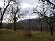 Sale, land lot, 9328m², Mojdež, Herceg Novi - image 11