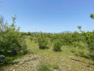 Sale, land lot, 1557m², Grbe, Danilovgrad - image 3